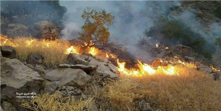 آتش‌سوزی کوه "شره" در کهگیلویه مهار شد