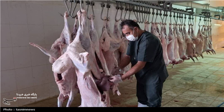 اهمیت امنیت غذایی