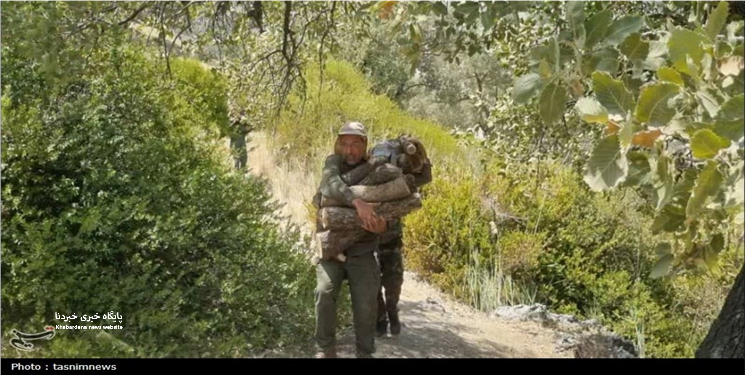 شوک به قاچاق چوب در باشت؛ پیگیری قضایی و احداث پاسگاه حفاظتی جدید